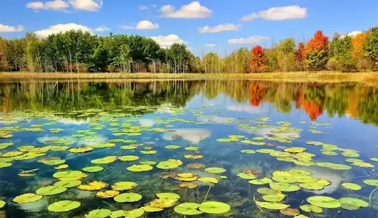 شهرک های صنعتی استان گیلان