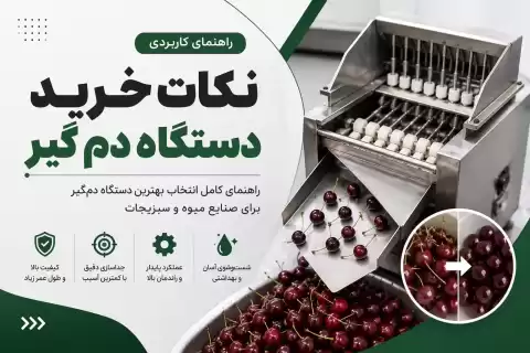 نکات خرید دستگاه دم‌ گیر + راهنمای انتخاب بهترین دستگاه برای خطوط فرآوری میوه و سبزیجات