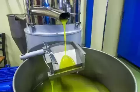 با انواع دستگاه روغن گیری زیتون آشنا شوید
